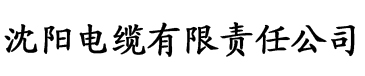 吊好妞电缆厂logo